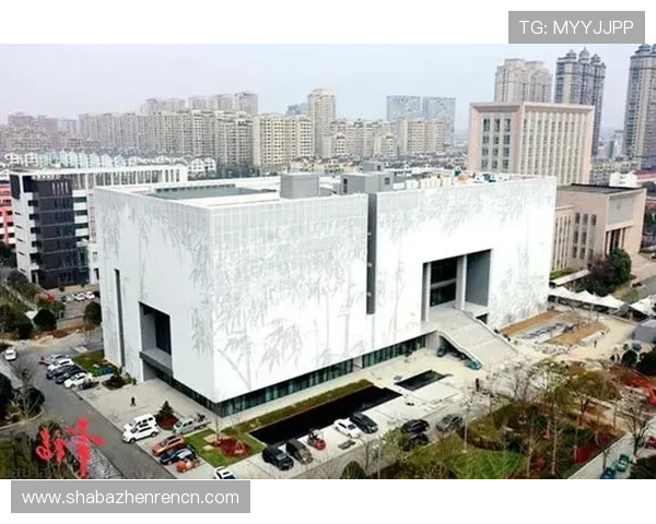 BG大游真人登录线路不一样的影响因素及多线路优化提升游戏体验的方法