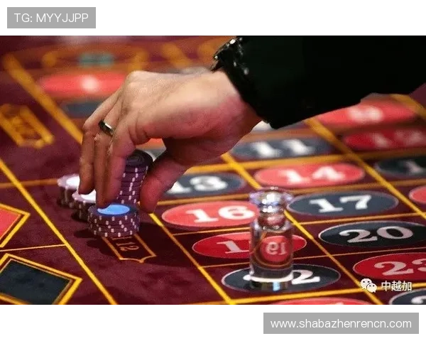 天博真人赌场游戏种类全攻略满足不同玩家的多样化需求