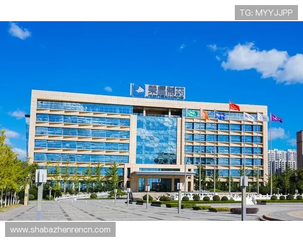 解决凯发集团网页版登录不了问题的实用技巧与操作指南