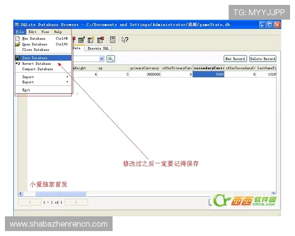 了解DB真人全名称的详细定义及其在游戏行业中的重要作用